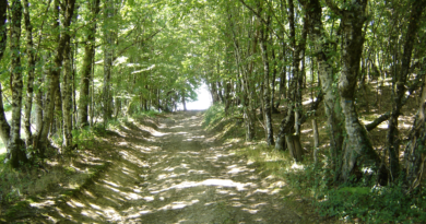 Chemin de randonnée rouffiac cantal