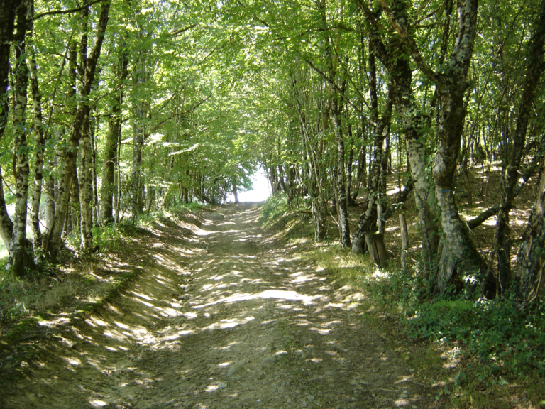 Chemin de randonnée rouffiac cantal